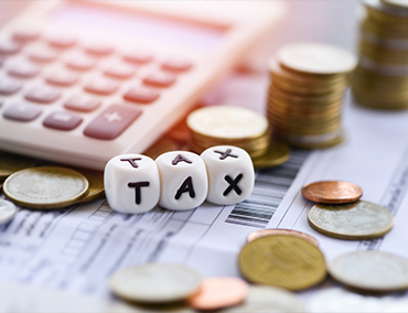 Taxseer - Online 1099-NEC & 1099-MISC