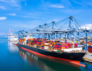 Workseer - Global Trade Management